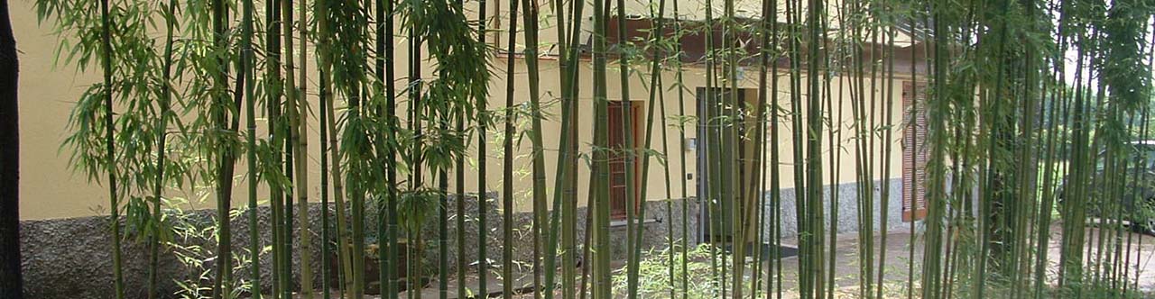 archilogo interno ingresso negozio