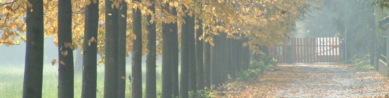 archilogo_architetturadinterni_esterno_autunno